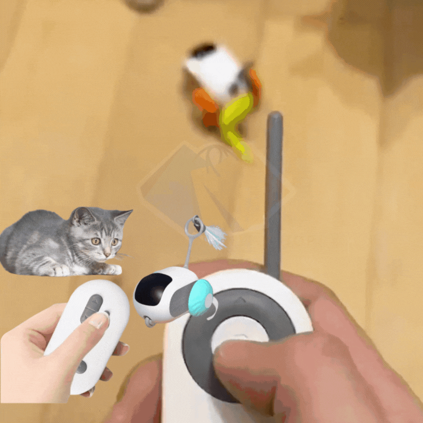WhiskerWhirl™- JUGUETE PARA GATOS